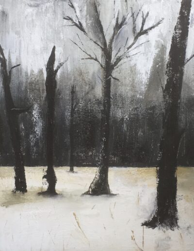 Snow and Umber, 16 x 20